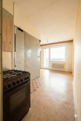 Prodej bytu 1+1, Olomouc - Nová Ulice, Pionýrská, 45 m2
