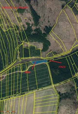 Prodej lesa, Popelín, 2730 m2