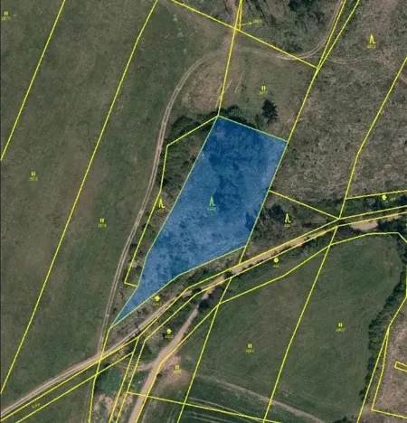 Prodej lesa, Číchov, 3220 m2