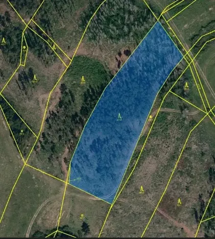 Prodej lesa, Číchov, 7090 m2