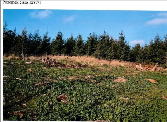 Prodej lesa, Vladislav, 11904 m2