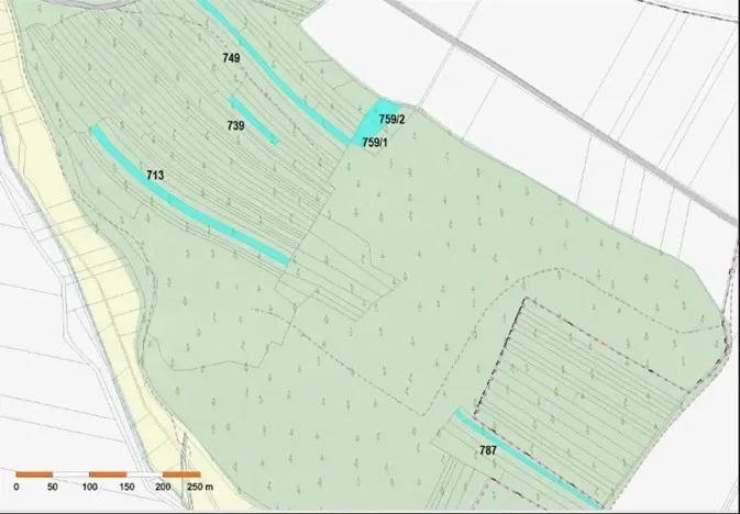 Prodej lesa, Dolní Vilémovice, 9629 m2