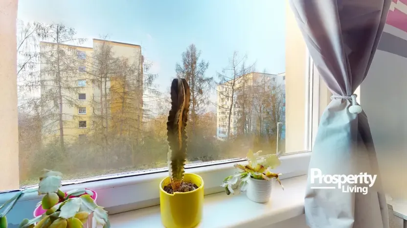 Prodej bytu 2+kk, Ústí nad Labem - Krásné Březno, Obvodová, 47 m2