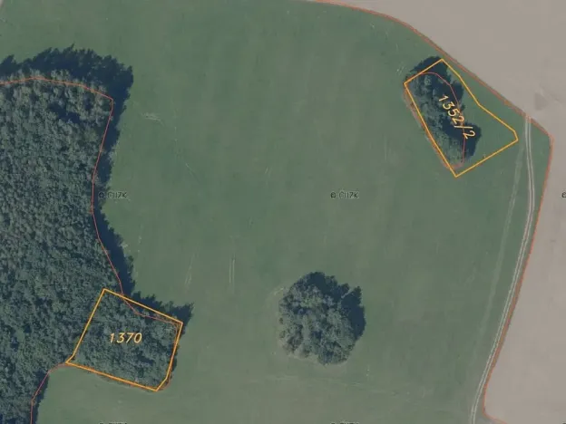 Dražba louky, Krchleby, 7831 m2