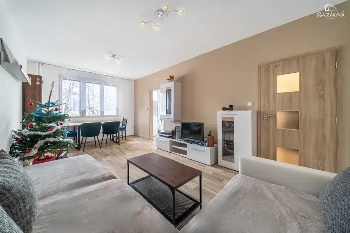 Prodej bytu 2+1, Plzeň, Tichá, 60 m2