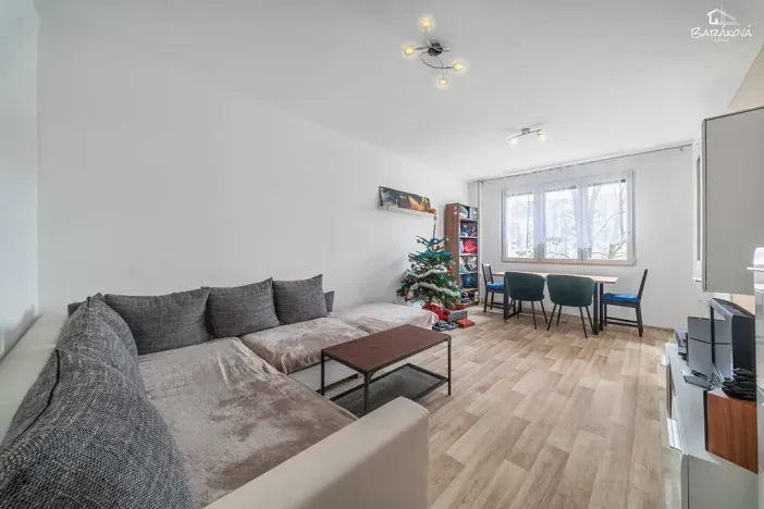 Prodej bytu 2+1, Plzeň, Tichá, 60 m2