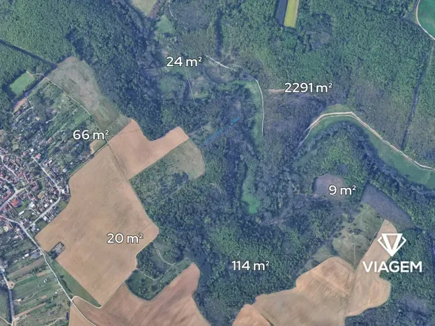 Prodej lesa, Radostice, 2524 m2