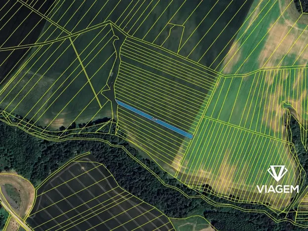 Prodej pole, Určice, 1288 m2