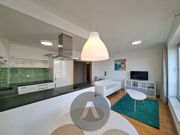 Pronájem bytu 2+kk, Brno, Leitnerova, 62 m2