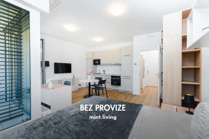 Pronájem bytu 1+kk, Praha - Vysočany, Odkolkova, 42 m2