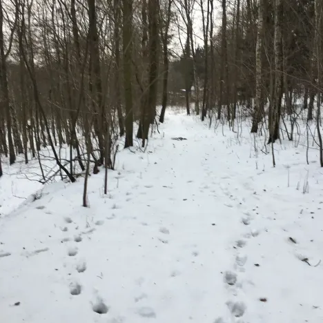 Prodej pozemku, Kadaň, 3903 m2