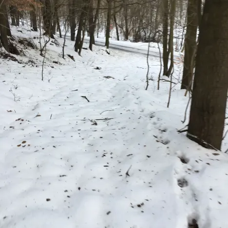 Prodej pozemku, Kadaň, 3903 m2