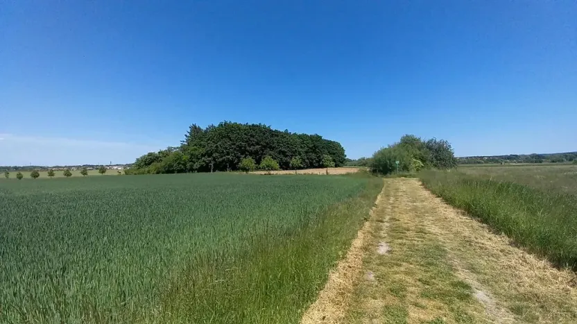 Prodej pole, Čestlice, Říčanská, 678 m2