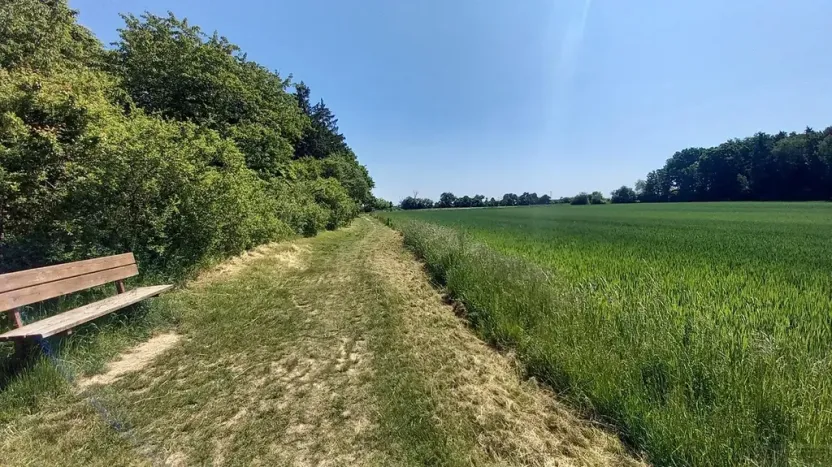 Prodej pole, Čestlice, Říčanská, 678 m2