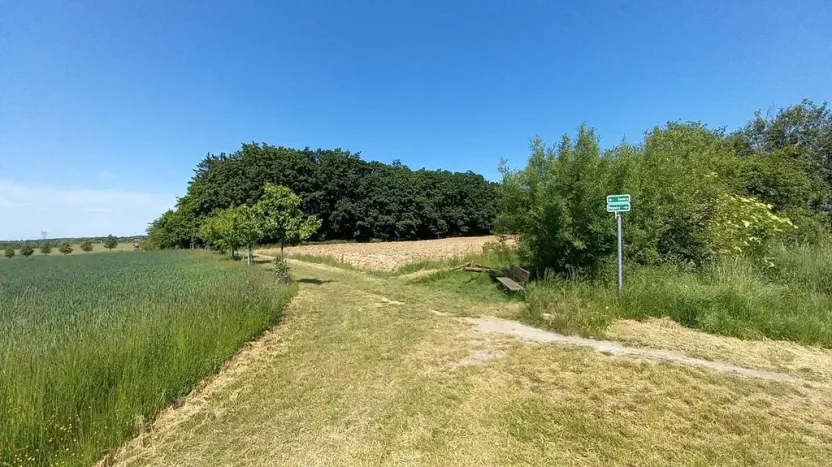 Prodej pole, Čestlice, Říčanská, 678 m2