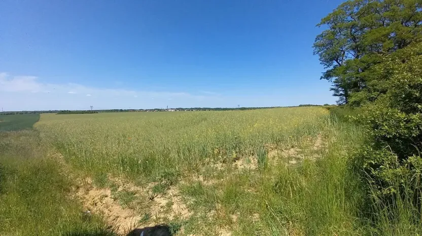 Prodej pole, Čestlice, Říčanská, 3118 m2