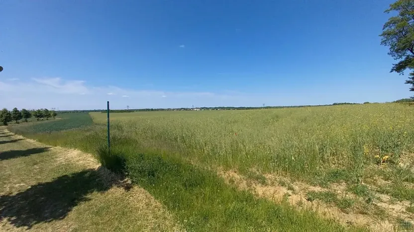 Prodej pole, Čestlice, Říčanská, 3118 m2