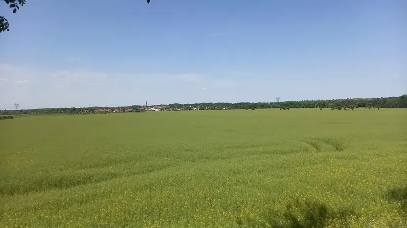 Prodej pole, Čestlice, Říčanská, 3118 m2