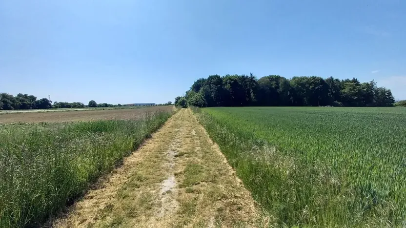 Prodej pole, Čestlice, Říčanská, 3118 m2