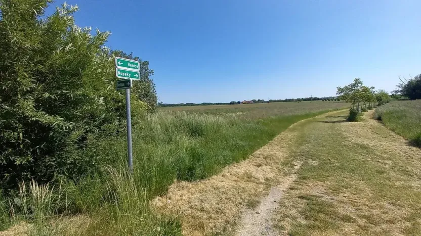 Prodej pole, Čestlice, Říčanská, 3118 m2