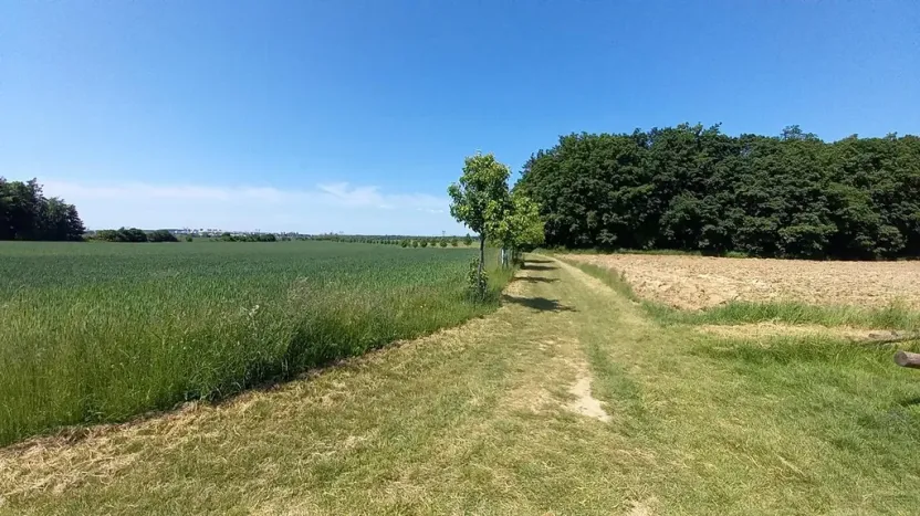 Prodej pole, Čestlice, Říčanská, 3118 m2