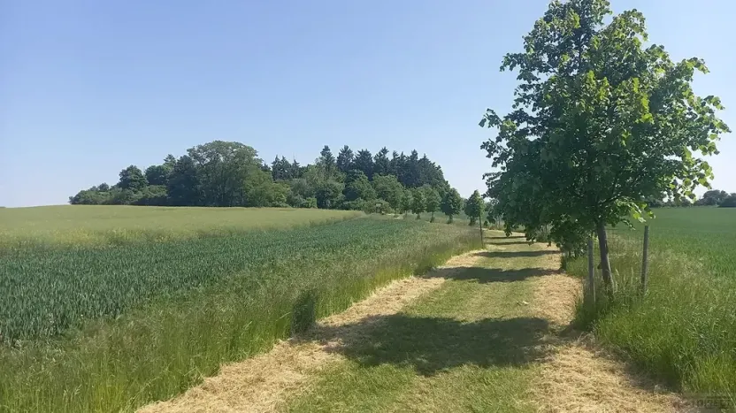 Prodej pole, Čestlice, Říčanská, 480 m2