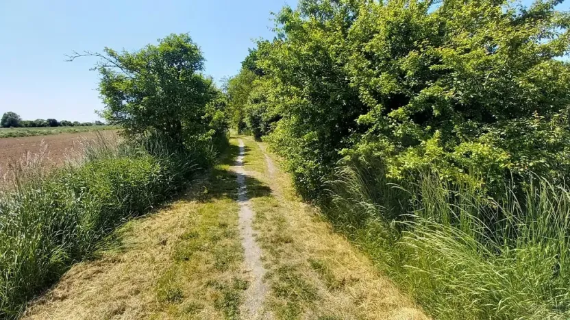 Prodej pole, Čestlice, Říčanská, 480 m2