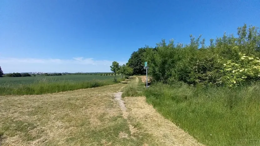 Prodej pole, Čestlice, Říčanská, 480 m2