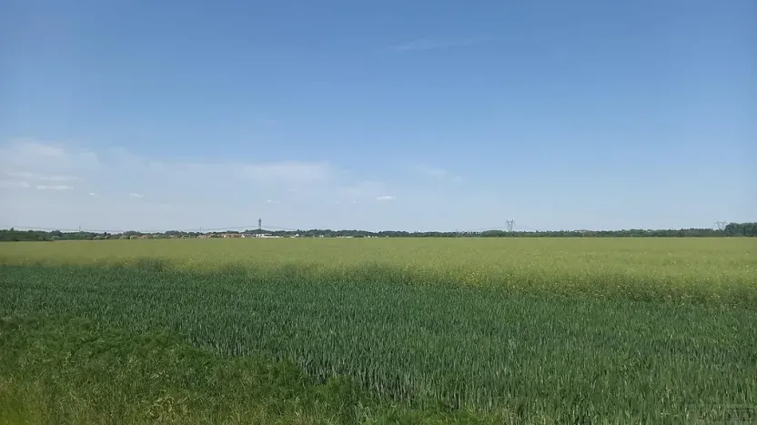 Prodej pole, Čestlice, Říčanská, 480 m2