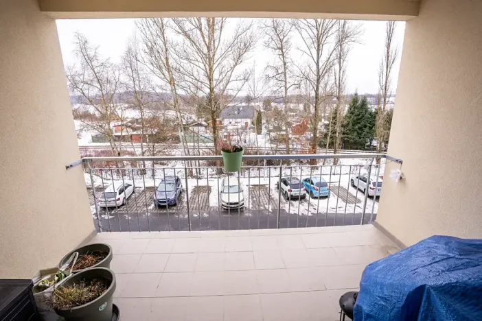 Prodej bytu 2+kk, Nová Role, Svobodova, 80 m2