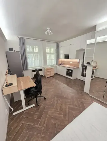 Pronájem bytu 1+kk, Praha - Holešovice, Františka Křížka, 26 m2