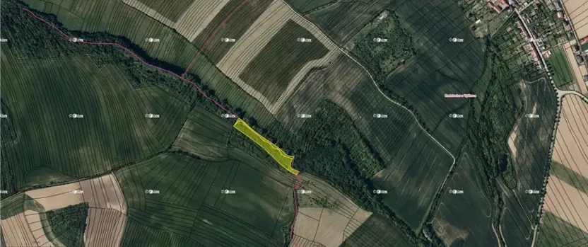 Prodej pole, Vyškov, 7855 m2