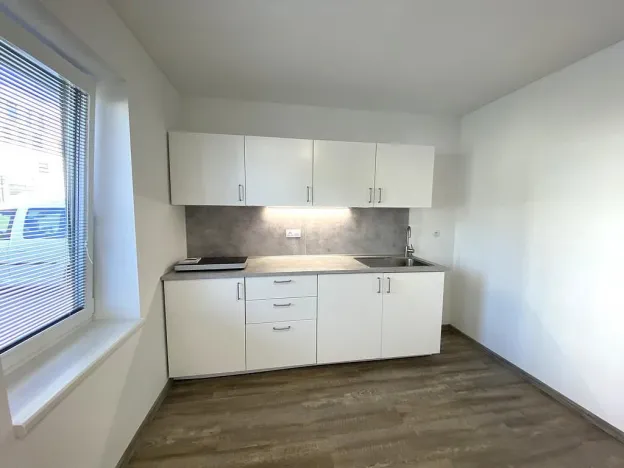 Pronájem bytu 1+kk, Brno - Maloměřice, Hády, 37 m2