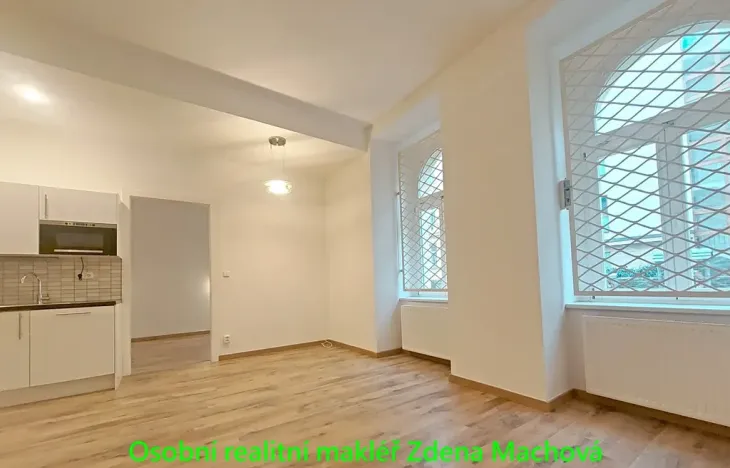 Pronájem bytu 2+kk, Praha - Vinohrady, Lublaňská, 56 m2