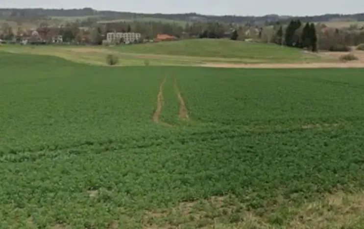 Dražba pole, Horní Cerekev, 18662 m2