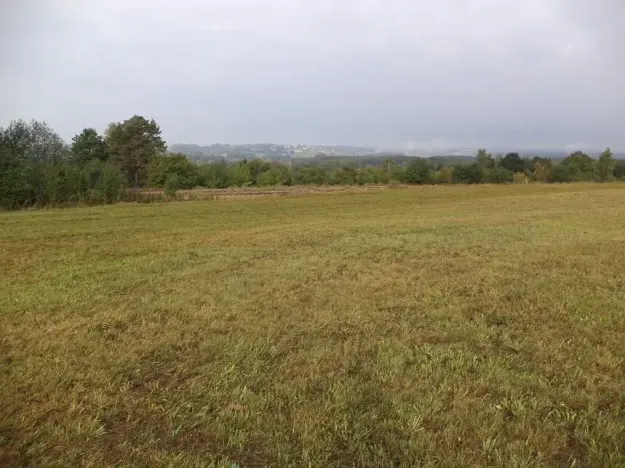 Dražba louky, Horní Pěna, 1083 m2