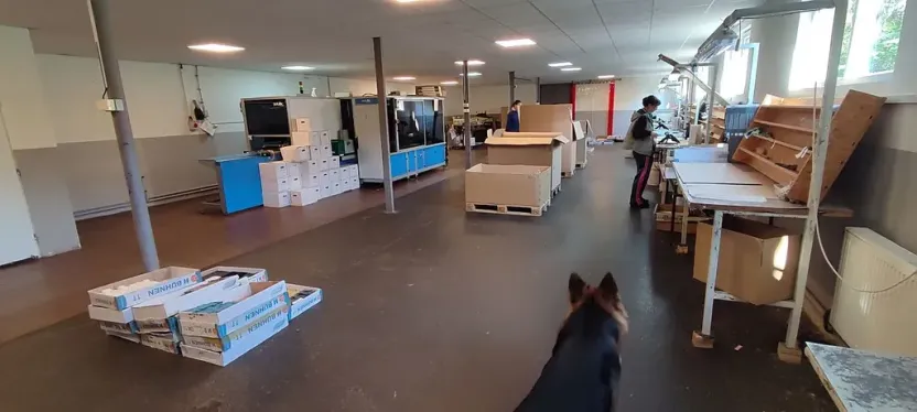 Prodej výrobních prostor, Kynšperk nad Ohří, Pochlovická, 3040 m2