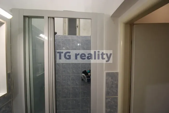 Pronájem bytu 2+1, Praha - Karlín, Peckova, 53 m2