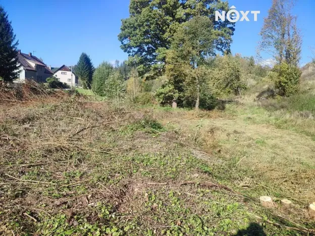 Prodej pozemku, Staré Buky, 2666 m2