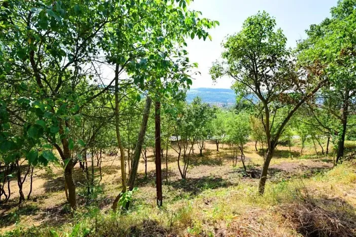 Prodej pozemku pro bydlení, Beroun, samota Pod Studánkou, 1200 m2