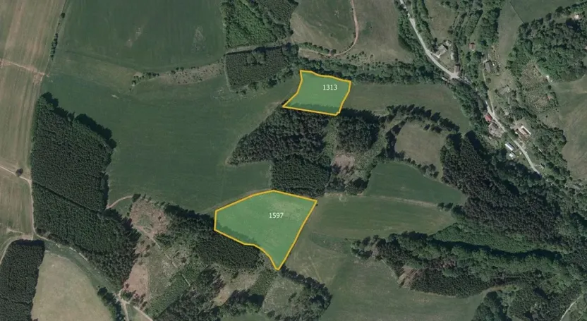 Prodej louky, Vidochov, 28075 m2