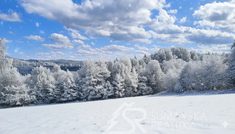 Prodej pozemku, Sušice - Záluží, 3500 m2