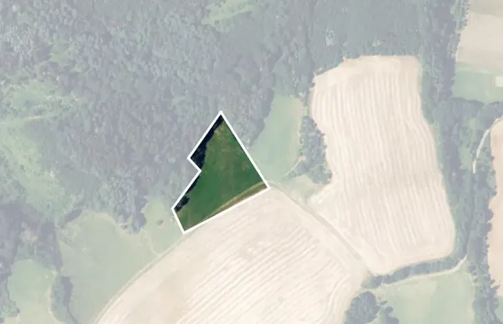 Prodej louky, Kunštát, 11758 m2