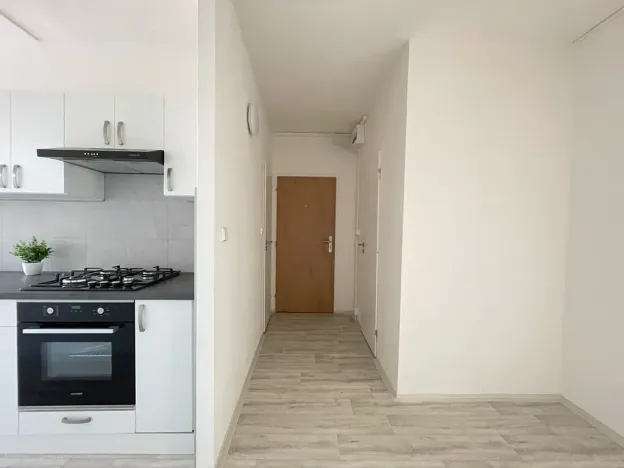 Pronájem bytu 2+1, Litvínov, Rooseveltova, 66 m2