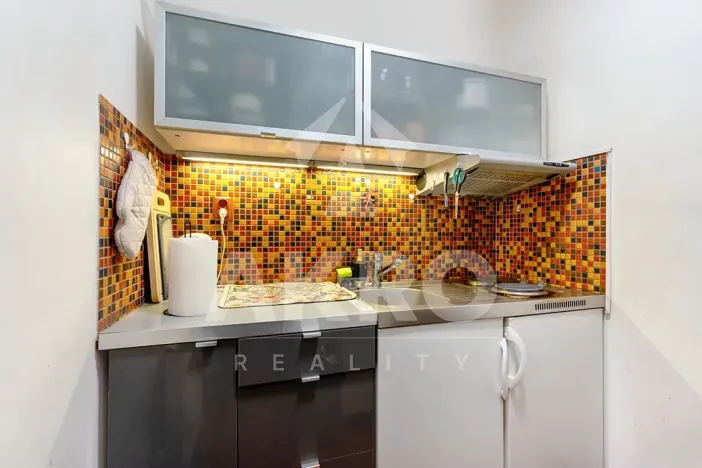 Prodej bytu 2+kk, Praha - Vinohrady, Velehradská, 47 m2