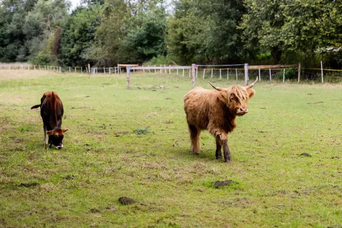 Prodej chaty, Litíč, 60 m2