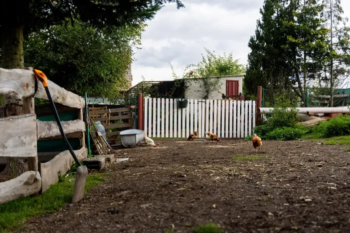 Prodej chaty, Litíč, 60 m2