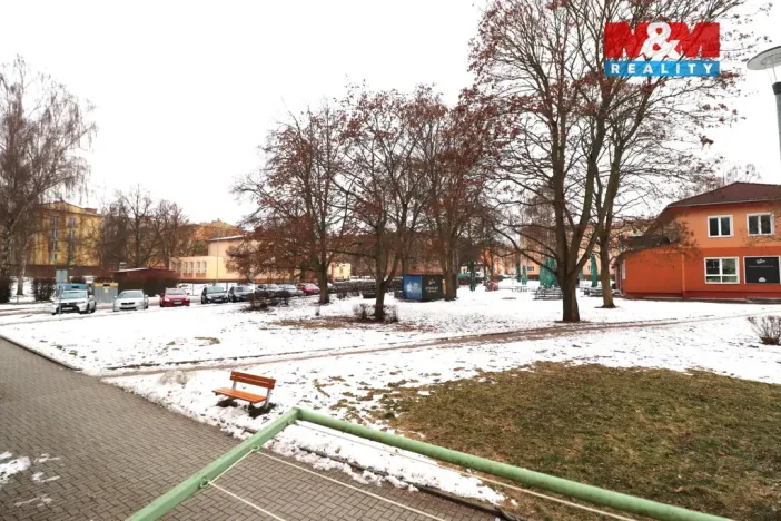 Prodej bytu 2+1, Ostrov, S. K. Neumanna, 64 m2