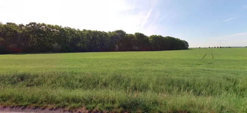 Prodej pole, Velenice, 3863 m2