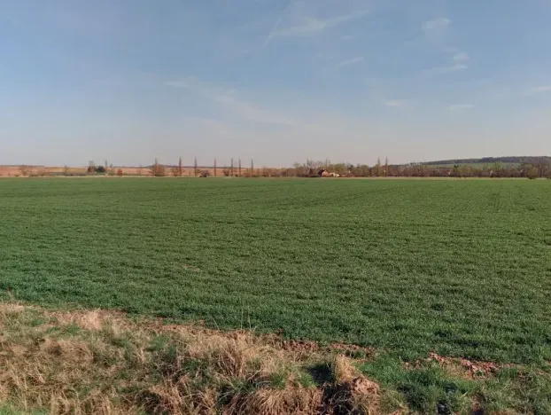 Prodej pole, Nechanice, 22509 m2
